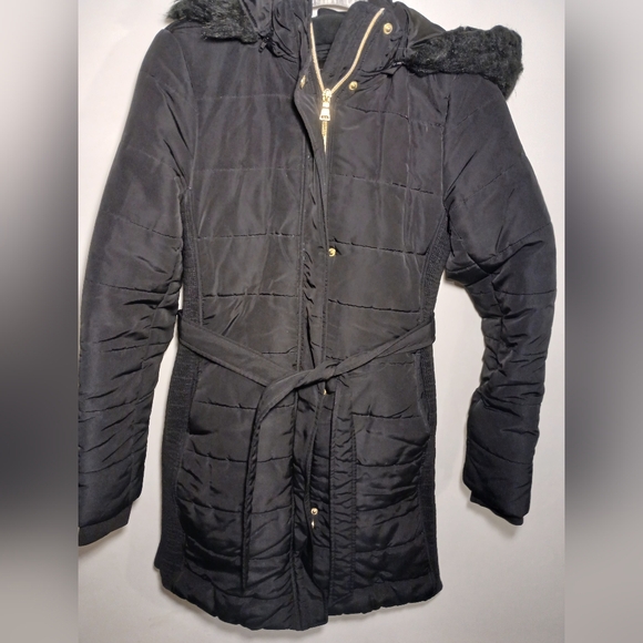 Express Hooded Black Puffer Coat with Gold Details - Picture 6 of 11